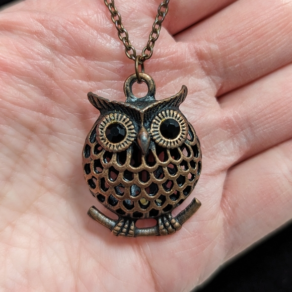 Jewelry - Vintage Bronze Owl Small Pendant Long Chain Necklace
